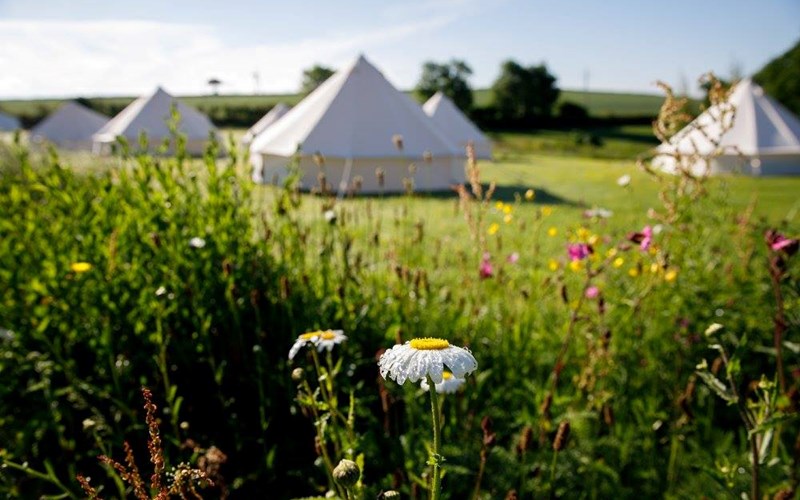 Ashbarton Estate - Ash Barton Estate wedding venue Devon festival