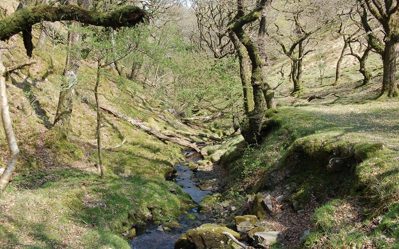 Ashbarton Estate - Ash Barton Estate Wedding Venue Devon exmoor