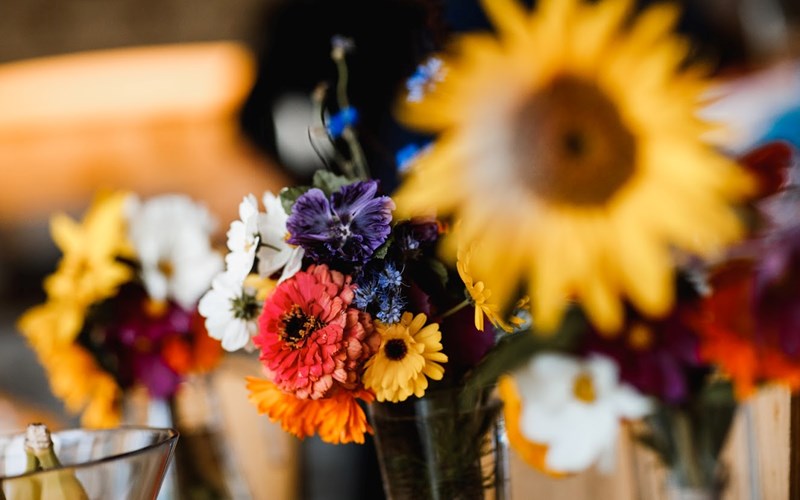 Ashbarton Estate - Ash Barton Estate Wedding Venue Devon wild flower meadow