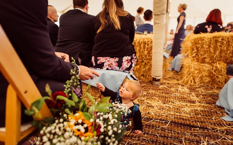 Ashbarton Estate - Ash Barton wedding venue Devon festival marquee