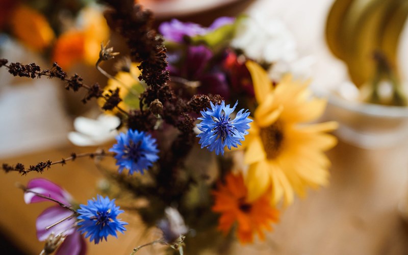 Ashbarton Estate - Ash Barton wedding venue Devon wild flower wedding