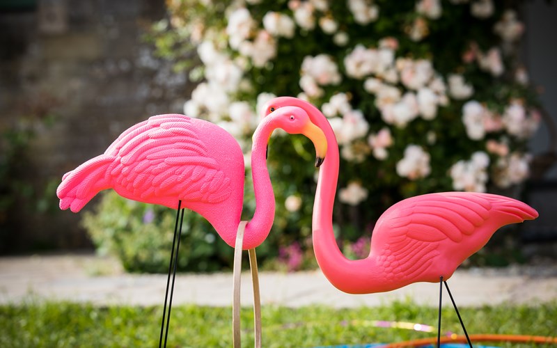 Ashbarton Estate - Bright pink plastic flamingos at Ash Barton wedding venue Devon 