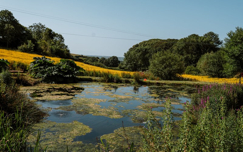 Ashbarton Estate -