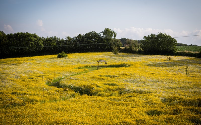 Ashbarton Estate -