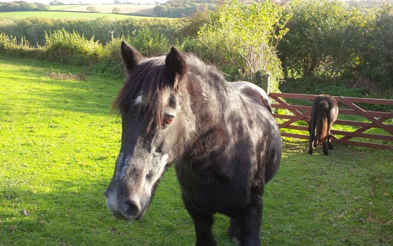 Ashbarton Estate -