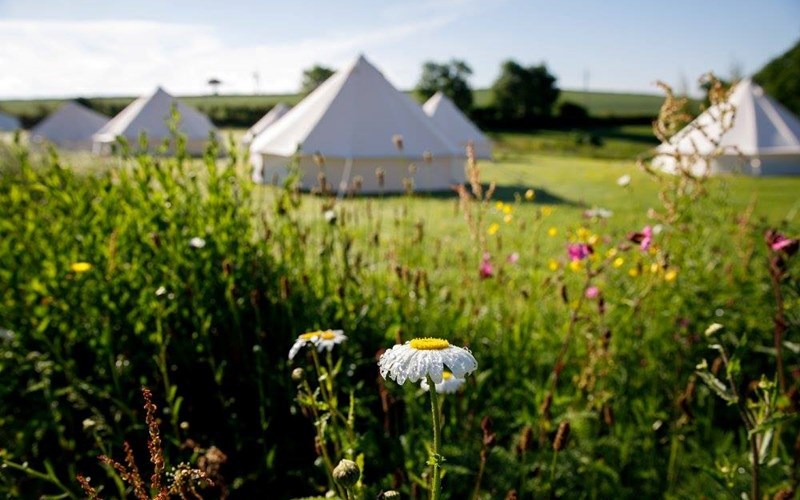 Ashbarton Estate -