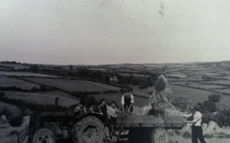 Ashbarton Estate -
